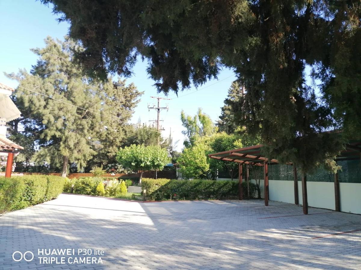 Appartamento Green Apartments *